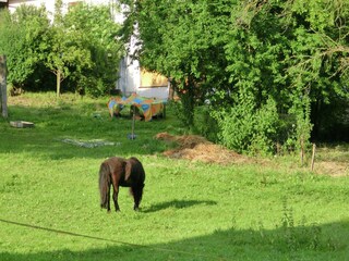 Casa de vacaciones Alheim Entorno 15