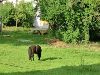 Holiday house Alheim Environment 15