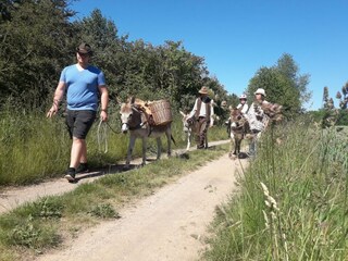 Casa per le vacanze Alheim  25