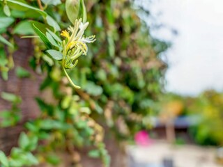 Vakantiehuis Vouneuil-sur-Vienne  31