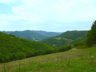 Bauernhof Belforte all'Isauro Außenaufnahme 7