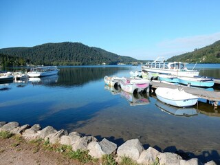 Appartement La Bresse Environnement 20