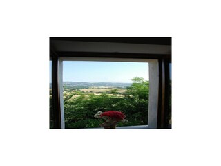 Type de propriété : Ferme Sant'Ippolito Enregistrement extérieur 4