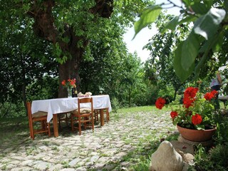 Fattoria Sant'Ippolito Registrazione all'aperto 17