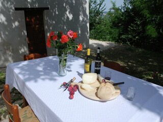 Fattoria Sant'Ippolito Registrazione all'aperto 12