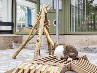 Ferienpark Hanstholm  33