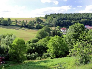 Casa de vacaciones Neidenbach Grabación al aire libre 6