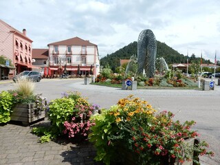 Appartement La Bresse Omgeving 24