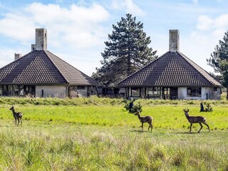 Parc de vacances Enø  36