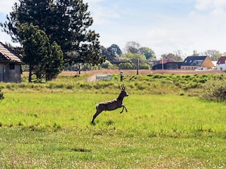 Parc de vacances Enø  15