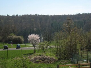 Casa de vacaciones Sulzbach im Hunsrück Grabación al aire libre 4