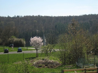 Ferienhaus Sulzbach im Hunsrück Außenaufnahme 4