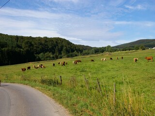 Vakantiehuis Sulzbach im Hunsrück Omgeving 18