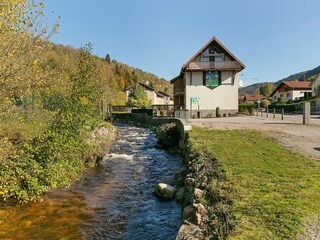 Apartment La Bresse Outdoor Recording 4