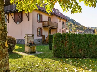 Apartment La Bresse Outdoor Recording 12