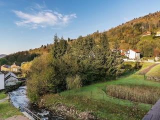 Apartment La Bresse Umgebung 41