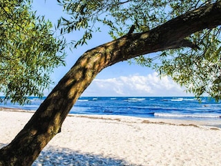 Ferienpark Gudhjem  10