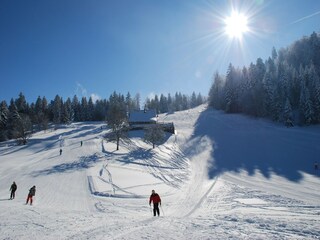 Casa de vacaciones Thiéfosse Entorno 18