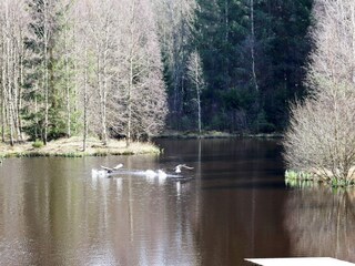 Ferienhaus Laholm  16