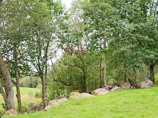 Ferienhaus Laholm Außenaufnahme 9