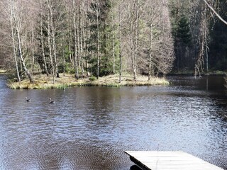 Vakantiehuis Laholm  15