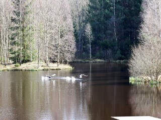 Vakantiehuis Laholm  18