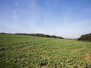 Appartamento Beltheim Ambiente 29