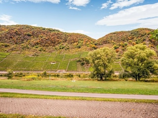 Ferienhaus Ernst Umgebung 29