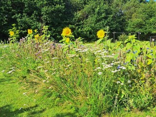 Casa de vacaciones Skaven Strand  11