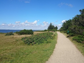 Vakantiehuis Skaven Strand  3