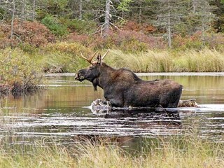 Holiday house Färgelanda  13