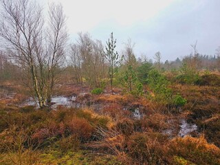 Maison de vacances Houstrup  8