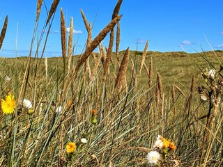 Maison de vacances Houstrup  8