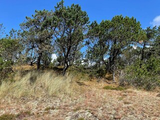 Maison de vacances Houstrup  32