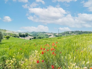 Ferienhaus Ponzano di Fermo Umgebung 38