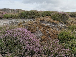 Casa per le vacanze Houstrup  30