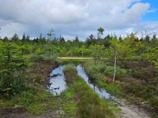 Vakantiehuis Houstrup  35