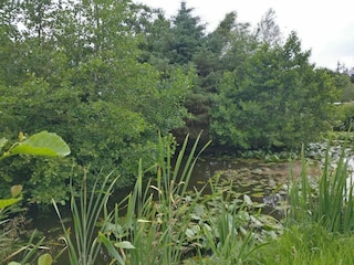 Ferienhaus Houstrup  14