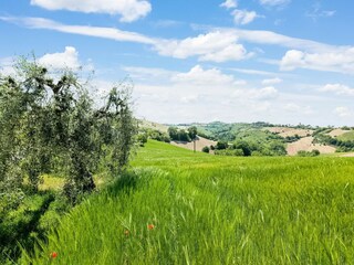 Casa per le vacanze Ponzano di Fermo Registrazione all'aperto 7
