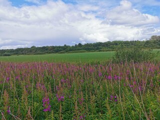 Casa per le vacanze Houstrup  26