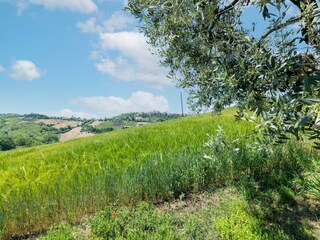 Vakantiehuis Ponzano di Fermo Buitenaudio-opname 6