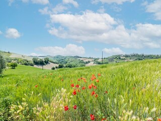Vakantiehuis Ponzano di Fermo Buitenaudio-opname 8