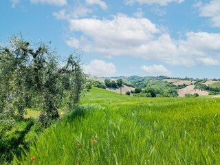 Vakantiehuis Ponzano di Fermo Omgeving 33