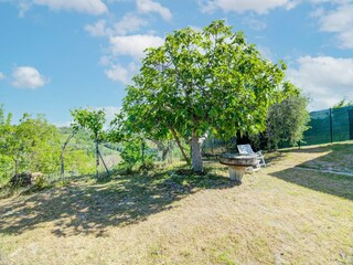 Holiday house Ponzano di Fermo Environment 33