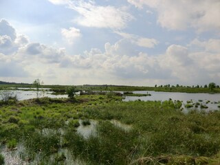 Holiday apartment Monschau Environment 22