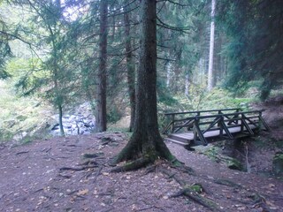 Holiday apartment Monschau Environment 19