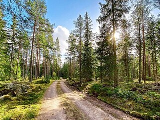 Vakantiehuis Nissafors Buitenaudio-opname 3