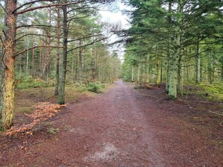Vakantiehuis Aalbæk  26