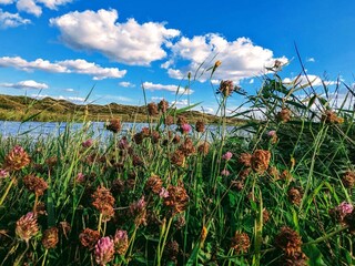 Casa per le vacanze Houstrup  35
