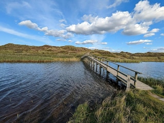 Maison de vacances Houstrup  29